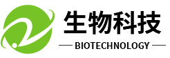 宁海网站建设_网站建设公司_网站建设设计制作_seo优化